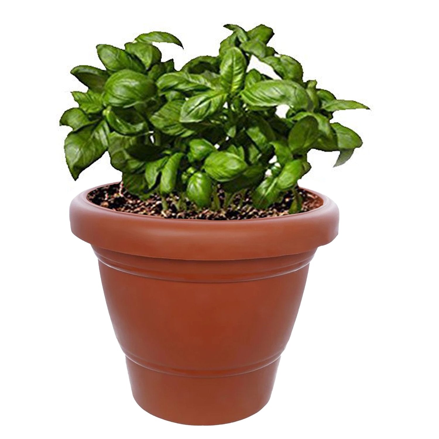 0839 Garden Heavy Plastic Planter Pot/Gamla 6 inch (Brown, Pack of 1, Small) - SkyShopy 0839 Garden Heavy Plastic Planter Pot/Gamla 6 inch (Brown, Pack of 1, Small) - SkyShopy